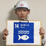 SDGs 目標14：海の豊かさを守ろう